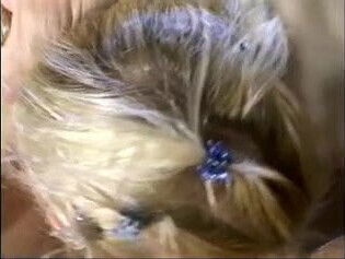 Horny blond hussy giving head