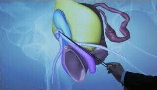 Scientific info behind g-spot, skene's gland, and squirting