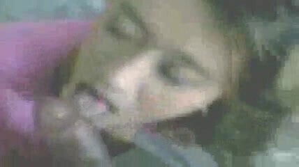 malay gal suckin her bf cock