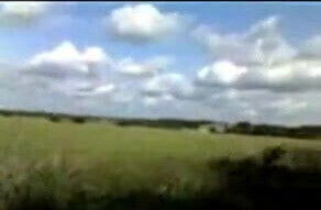 Guy gets blow job with his mates