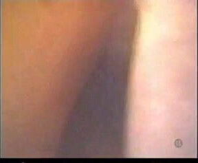 french chinese analized