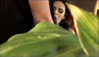 wild couch with muscular