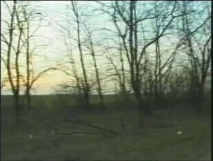 Young blonde with perfect perky gets outdoors