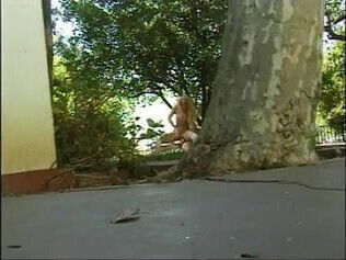 Sexy blonde in white stockings gets her ass stretched on a deckchair