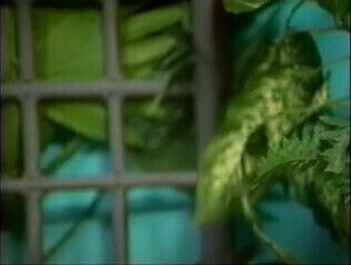 Cute black girl loves interracial white stuffed mouth pussy