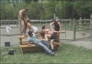 Good Old Fashioned Picnic Table Orgy