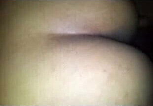 sua cachorrinha novo 1