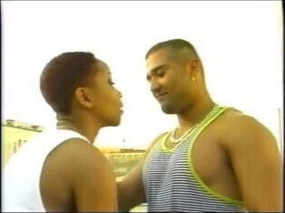 Kitten - Anything for a License