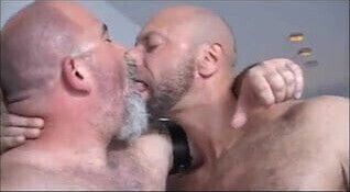 Bald Hairy Daddy Bear(s)