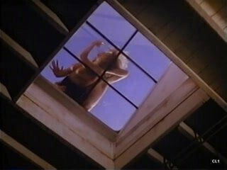 Shannon Tweed Last Call