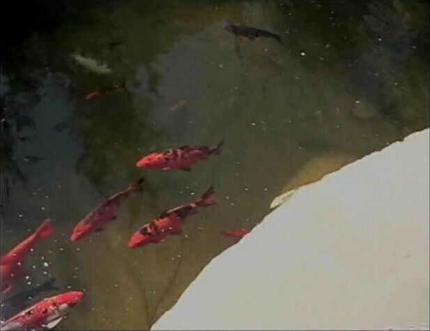 Gorgeous blonde lesbians with piercings lick and finger each other's clit