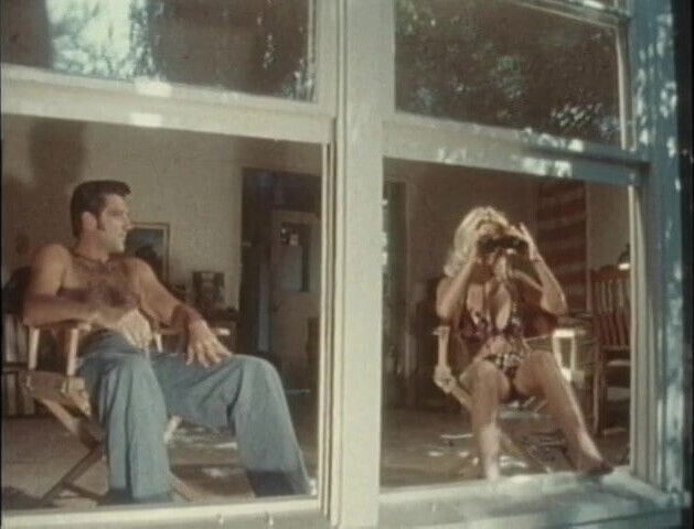 The beautiful Seka sets off a wild orgy and swallows a load of cum