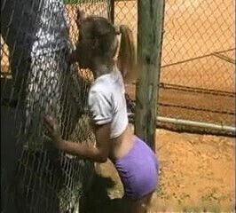 Blowjob through a fence