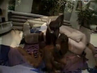 Lesbians orgy ebony group