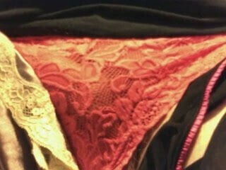 Stroking and cumming in aunts panties