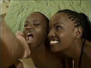 Chocolate Mocha meet their Neighbor