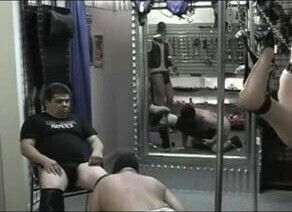 bear suck bear (leather bear)