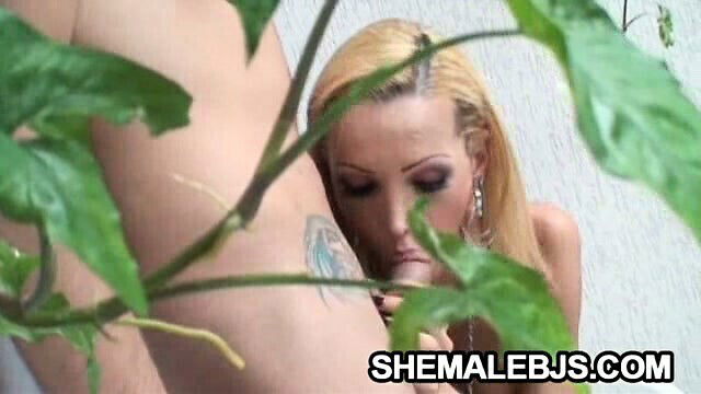 Horny shemale Renata Davilla teasing man's dick until