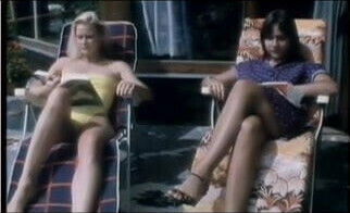 sommer voller leidenschaft