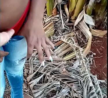 Vizinho pauzudo esperou pais novinha sair veio enfiar rola grosa talo