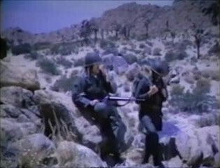 Vintage Military Mutual Masturbation