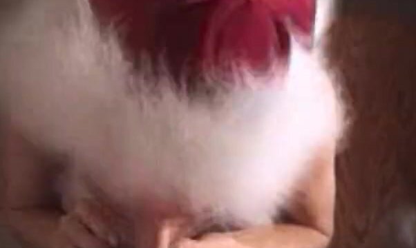 HEATHER IN CHRISTMAS