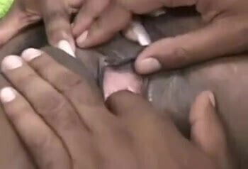 Caramel - Bootylicious