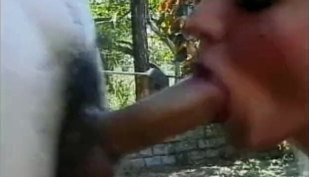 Young Tender Trannies Scene