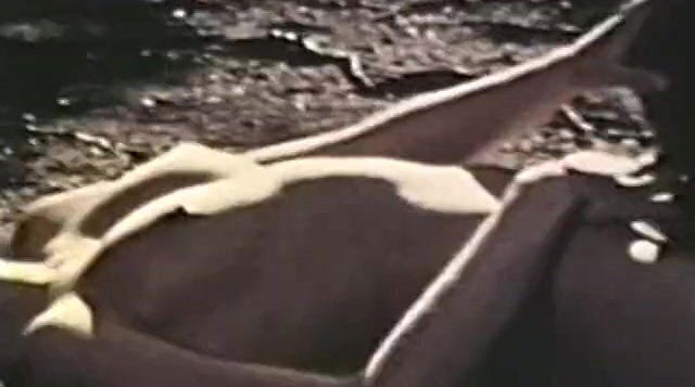 Peepshow Loops 1970s Scene