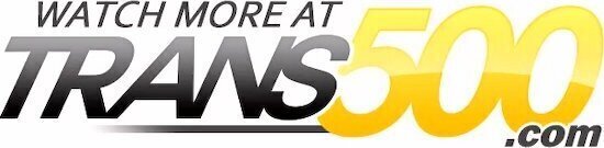 Latina Shemale Sunshyne Monroe Loves to Fuck Big Cocks