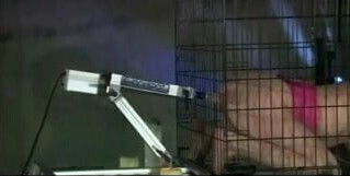 Robotic Caged Gang Bang