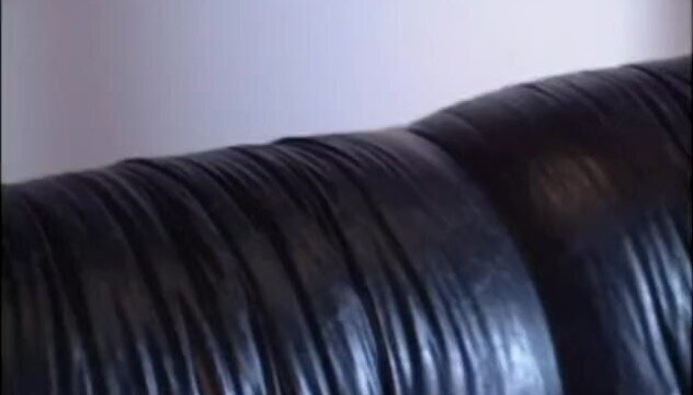 10,000 Maniacs Years, Scene