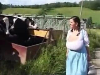 Lactation In Bavaria