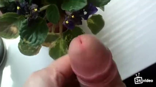 Дрочит кончает стол