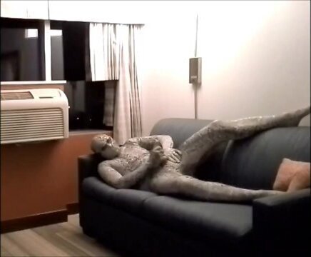 snake jerks hotel room