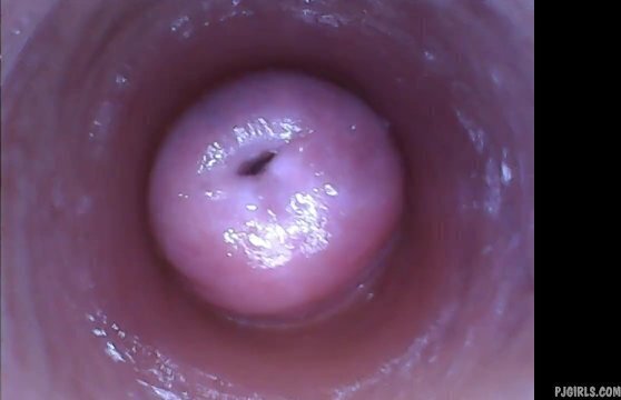 Kira - Kinky selfie (endoscope pussy cam video)