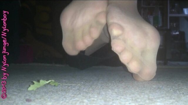 Horny Nylon Feet Ground
