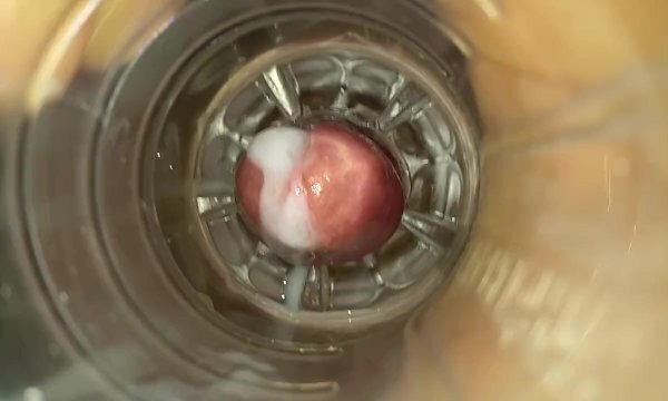 POV2016. Internal fleshlight close