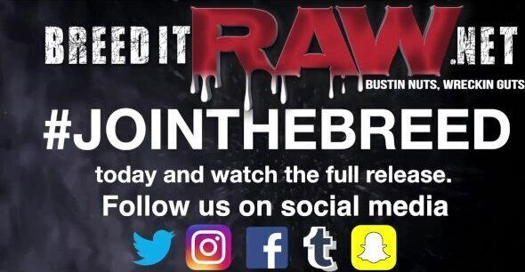 BreedItRaw Pressure Point ft. Mr. Marky, Dagger, Kyd Leo