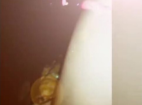 Petite girl fucked by huge cock