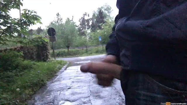 Dutch jerking public train passing