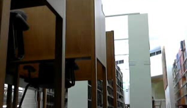 Ginger Banks full naked with dildo in public library