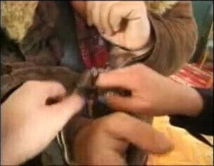 German arrested Hungarian police woman with long nails