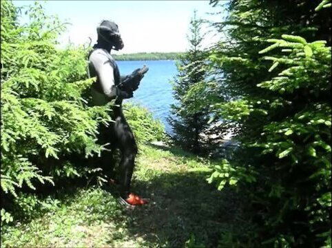 Orca predator prowl outside looking enemy