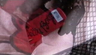 Pandora Fucks Betty Boop's Pencil Case Yellow Courgette