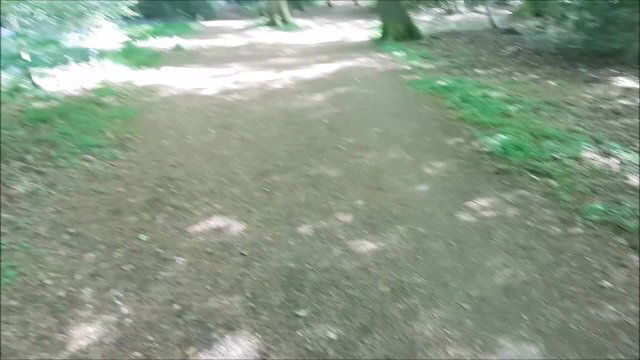 Public Naked Woodland Fuck Swallow
