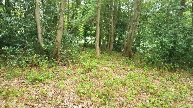 Warm Changing Room then Public Golf Course More