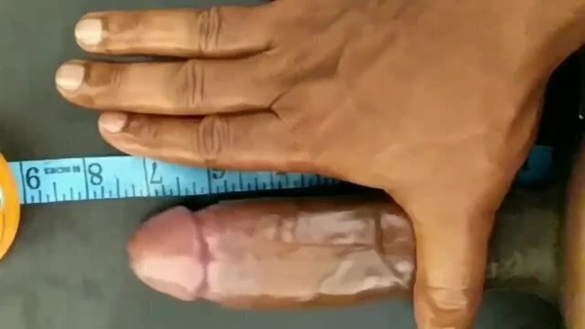 Penis Measured