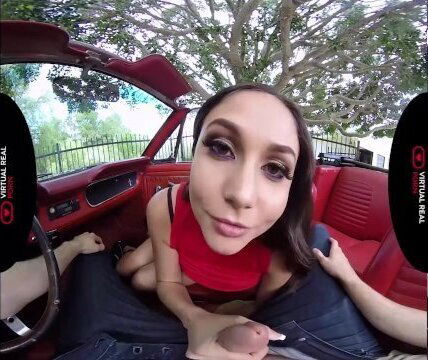 VirtualRealPorn.com - Taking you home