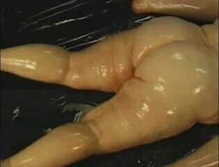 Fat couple oil wrestling and hardcore sex